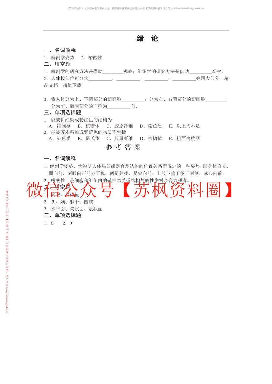 人体形态与结构